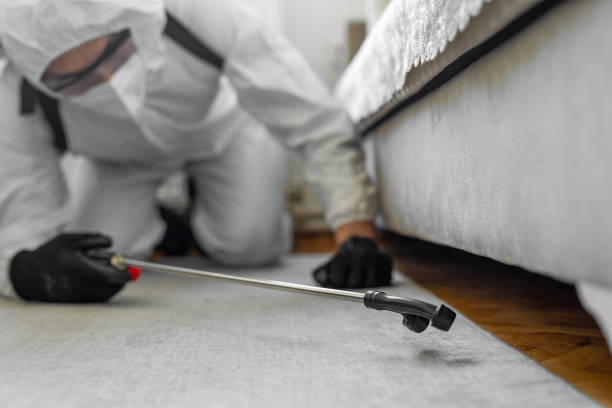 Professional Bed Bug Control technician working in Marlboro Meadows, MD