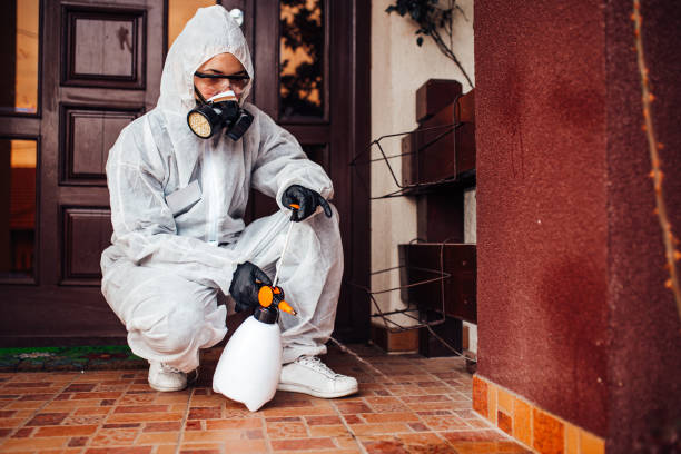 Reliable Bed Bug Control contractor in Marlboro Meadows, MD by Nex Pest Control