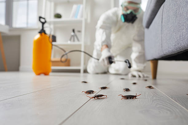 Trusted Fumigation Services service in Marlboro Meadows, MD - Nex Pest Control