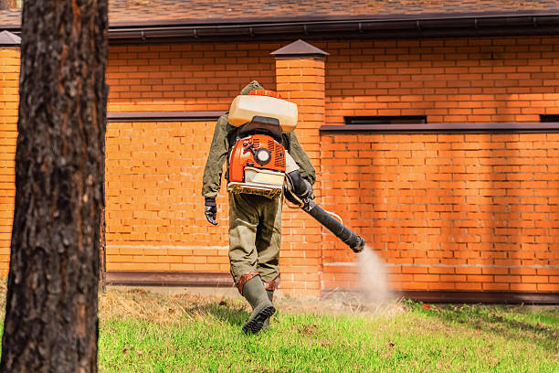 Trusted Bed Bug Control service in Marlboro Meadows, MD - Nex Pest Control